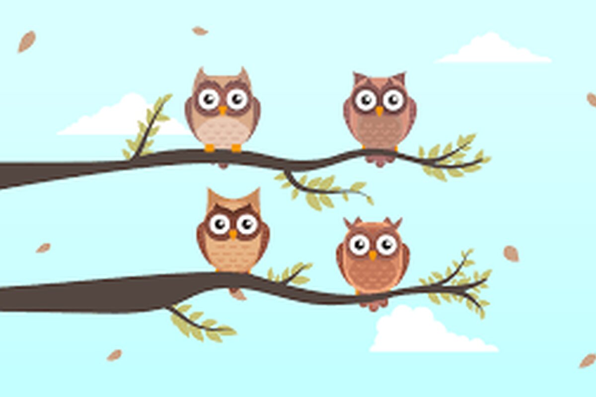 O Segredo da Dona Coruja  Dona Coruja era muito sábia e morava na árvore mais alta da floresta.